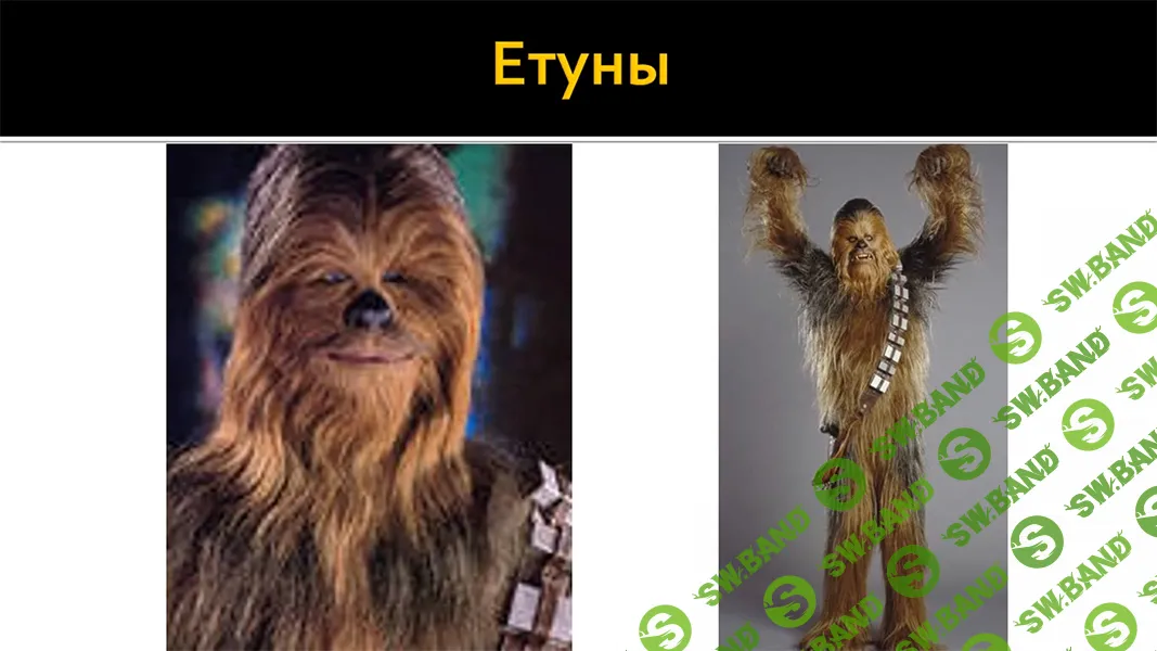 Музей Магии. Часть 2/6 [Атлантида]