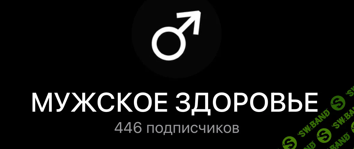 Мужское здоровье [Ирина Леонидова]