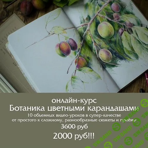 [Надежда Хмелевская] Ботаника цветными карандашами (2023)