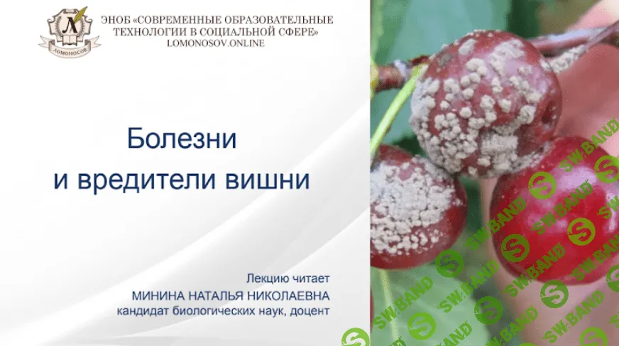 [Наталья Минина] Болезни и вредители вишни (2022)