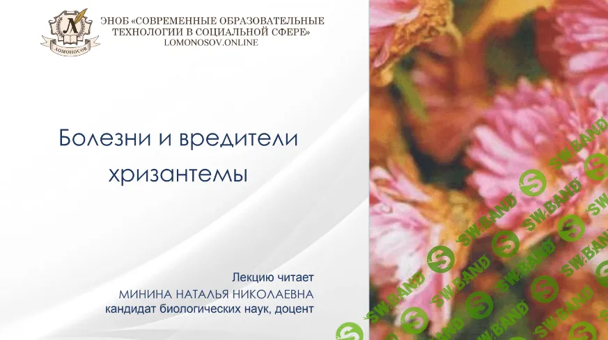 [Наталья Минина] Болезни и вредители хризантемы (2022)