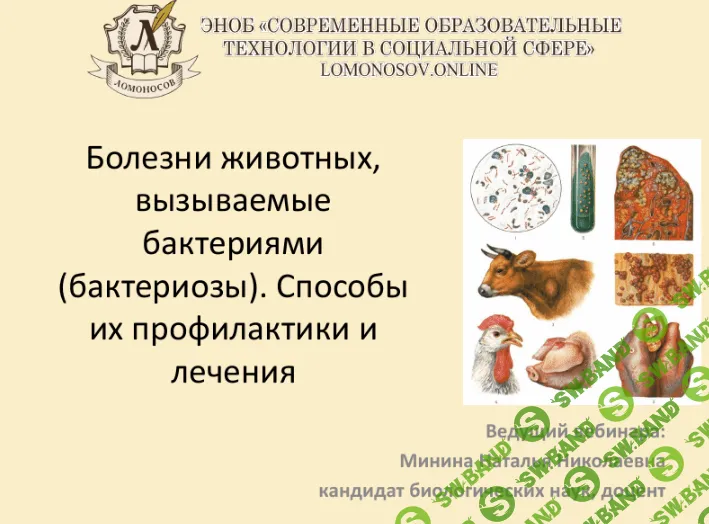 [Наталья Минина] Болезни животных, вызываемые бактериями (бактериозы) (2021)