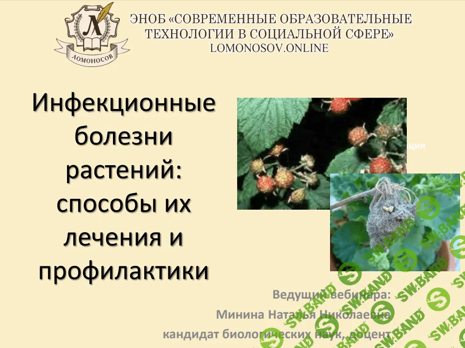 [Наталья Минина] Инфекционные болезни растений - способы их лечения и профилактики (2021)
