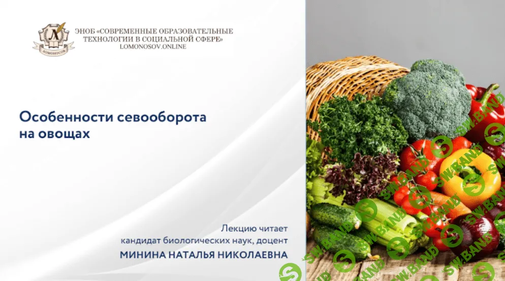 [Наталья Минина] Особенности севооборота на овощах (2022)