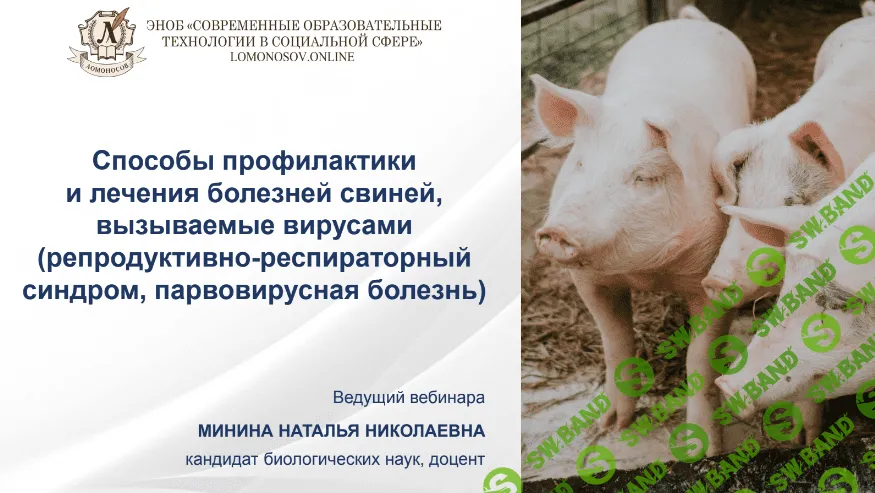 [Наталья Минина] Способы профилактики и лечения болезней свиней, вызываемые вирусами (2022)