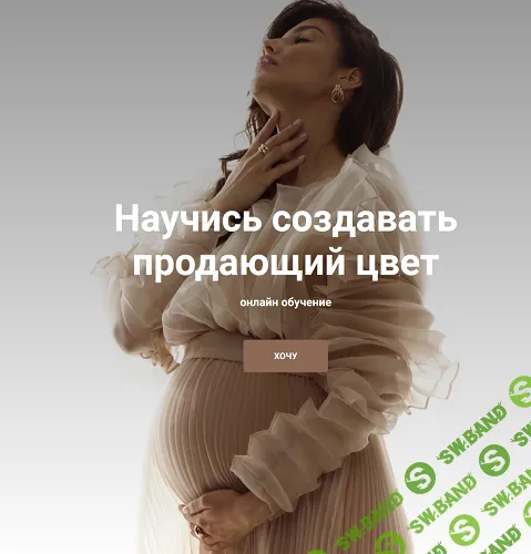 Научись создавать продающий цвет [Алина Николаева]