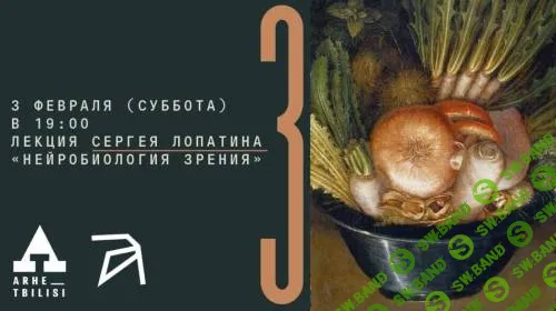 Нейробиология зрения [Архэ] [Сергей Лопатин]