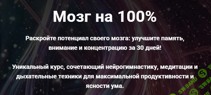 Нейрогимнастика для памяти и внимания Мозг на 100% [Тариф Standart] [Actualfit] [Василиса Михайлюта]