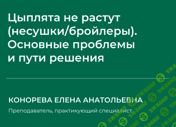 [НИИДПО] Цыплята не растут (несушки - бройлеры). Основные проблемы и пути решения (2024)