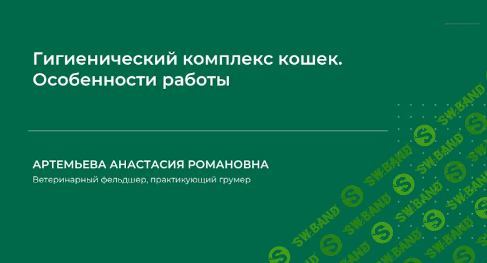 [НИИДПО] Гигиенический комплекс кошек. Особенности работы (2024)