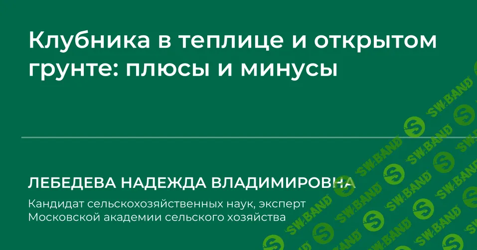 [НИИДПО] Клубника в теплице и открытом грунте - плюсы и минусы (2024)