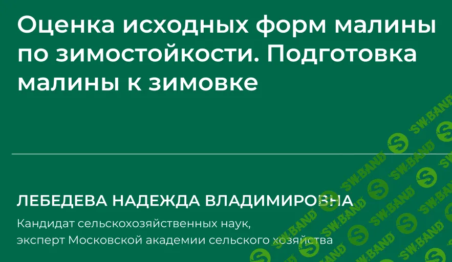 [НИИДПО] Оценка исходных форм малины по зимостойкости. Подготовка малины к зимовке (2024)