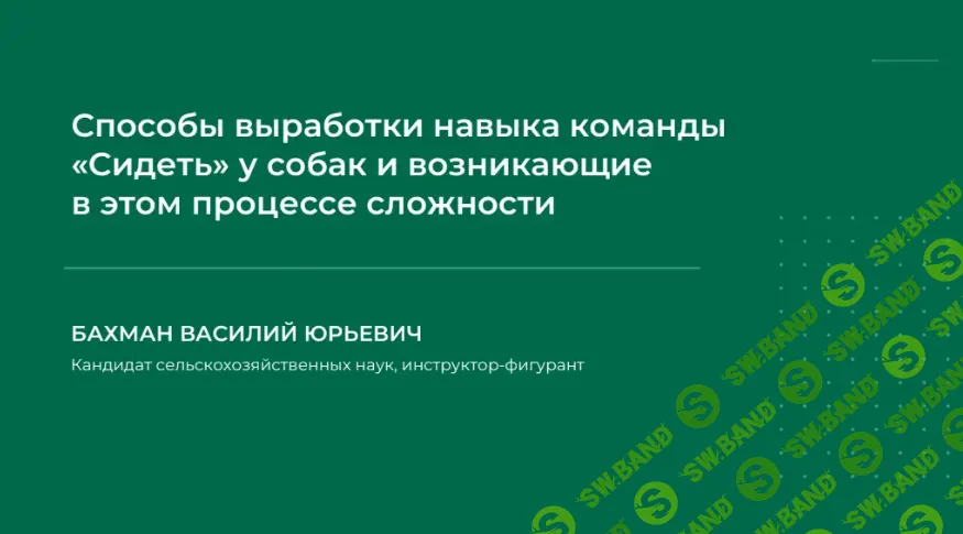 [НИИДПО] Способы выработки навыка команды «Сидеть» и возникающие в этом процессе сложности (2024)