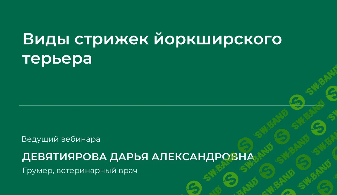 [НИИДПО] Виды стрижек йоркширского терьера (2024)