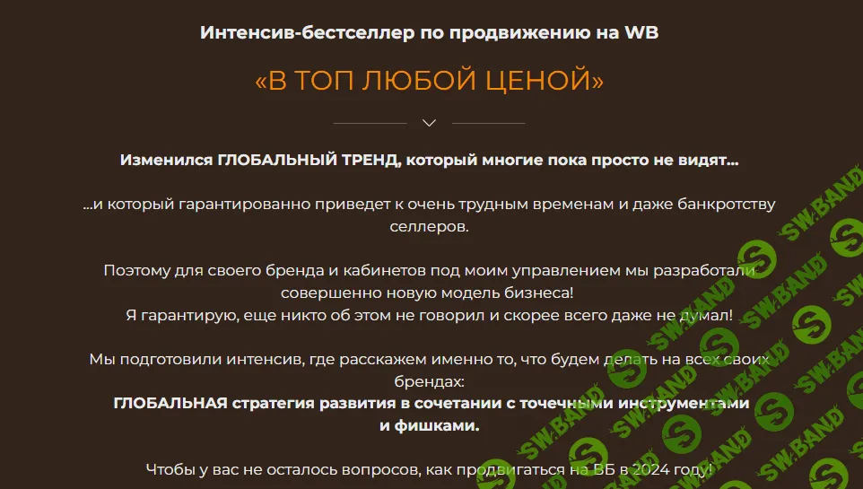 [Никита Газпром] Интенсив-бестселлер по продвижению на WB (2023)