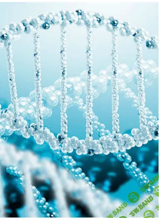 Очистка ДНК - AST production (2016)