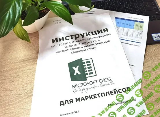 Оцифровка отчета "Начисления" и "Экономика магазина" Ozon [Онлайн-школа XLS] [Елена Ремезова]