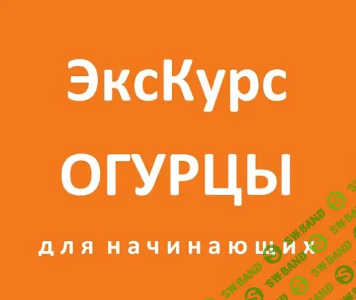 Огурцы: Дача на балконе [Ярмарка мастеров]