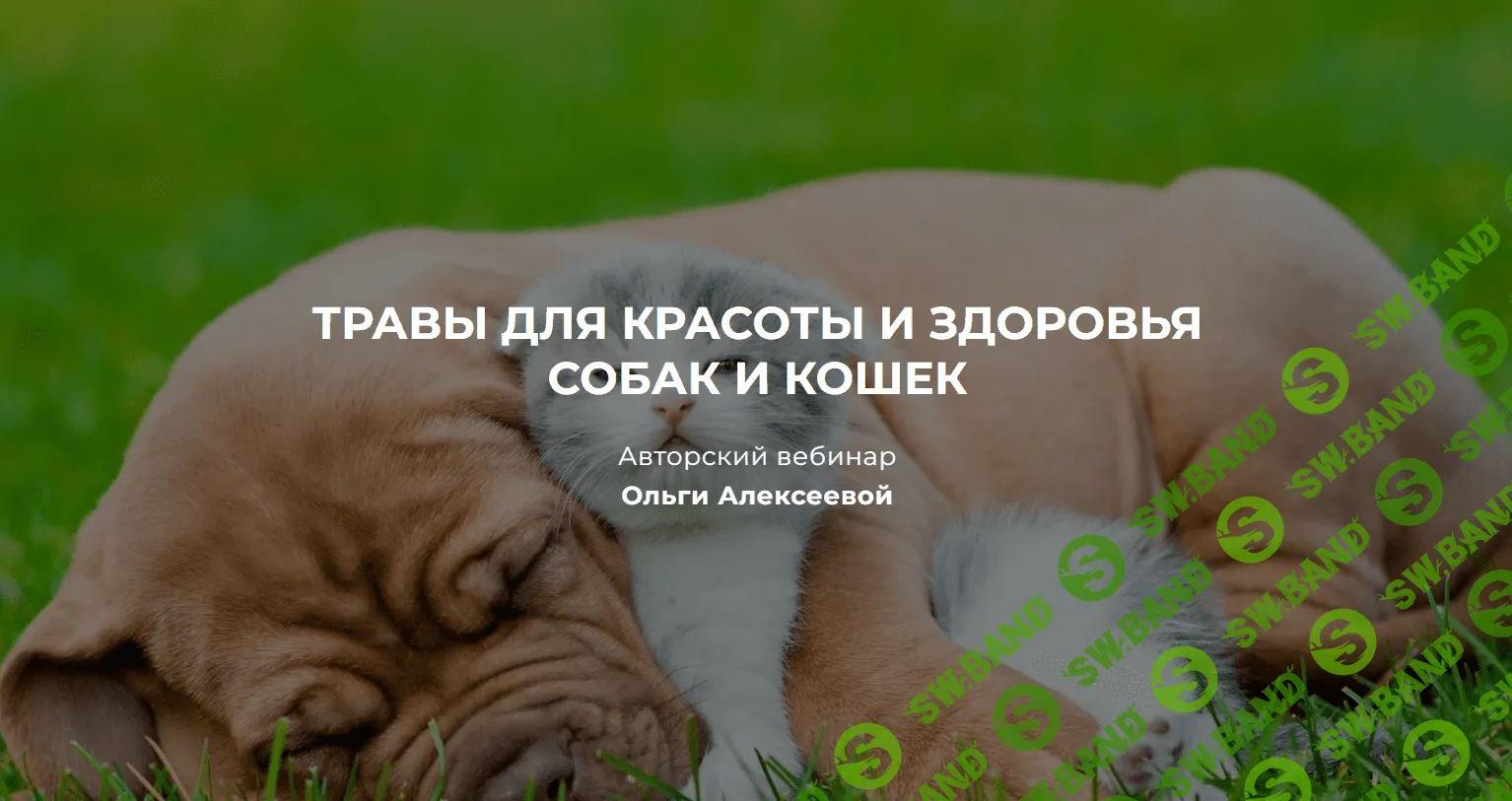 [Ольга Алексеева] Травы для красоты и здоровья собак и кошек (2023)