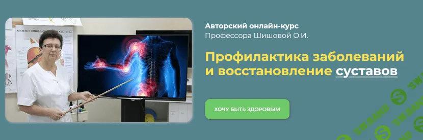[Ольга Шишова] Профилактика заболеваний и восстановление суставов (2022)