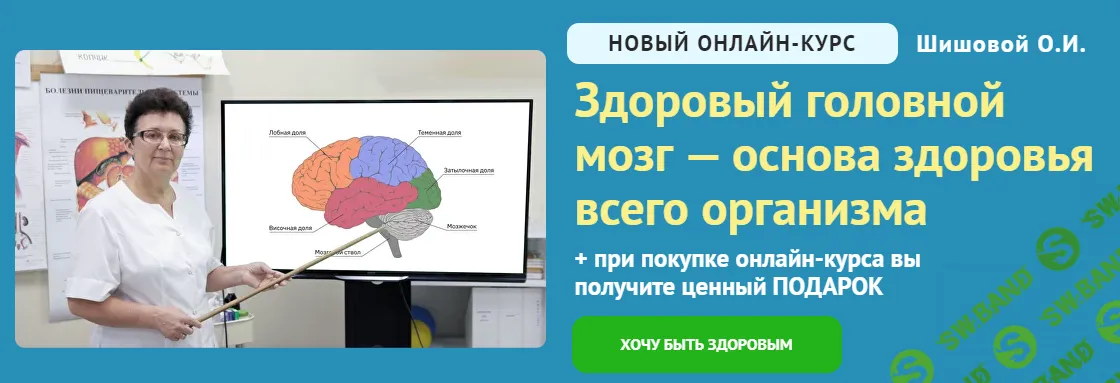 [Ольга Шишова] Здоровый головной мозг — основа здоровья всего организма (2024)