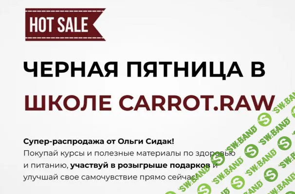 [Ольга Сидак] Черная пятница в школе Carrot.raw (2024)