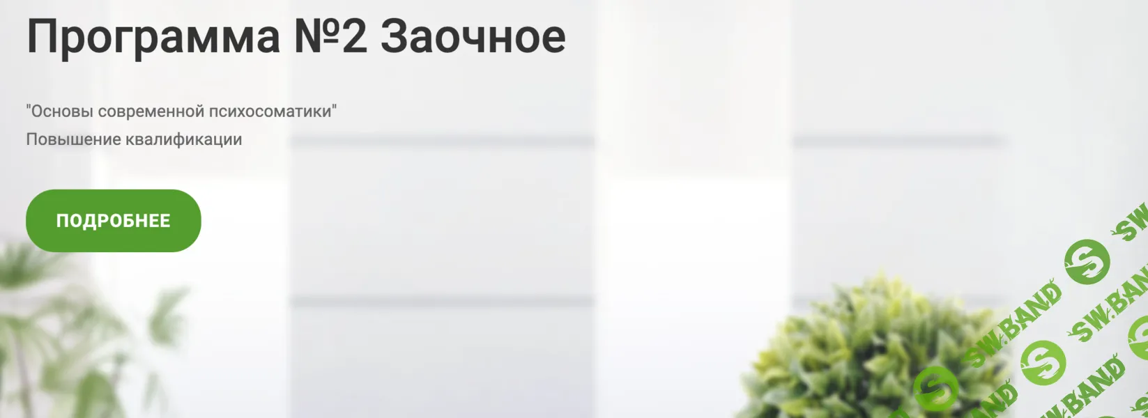 Основы современной психосоматики. 2 триместр [ИППЧП] [Виталина Чибис]