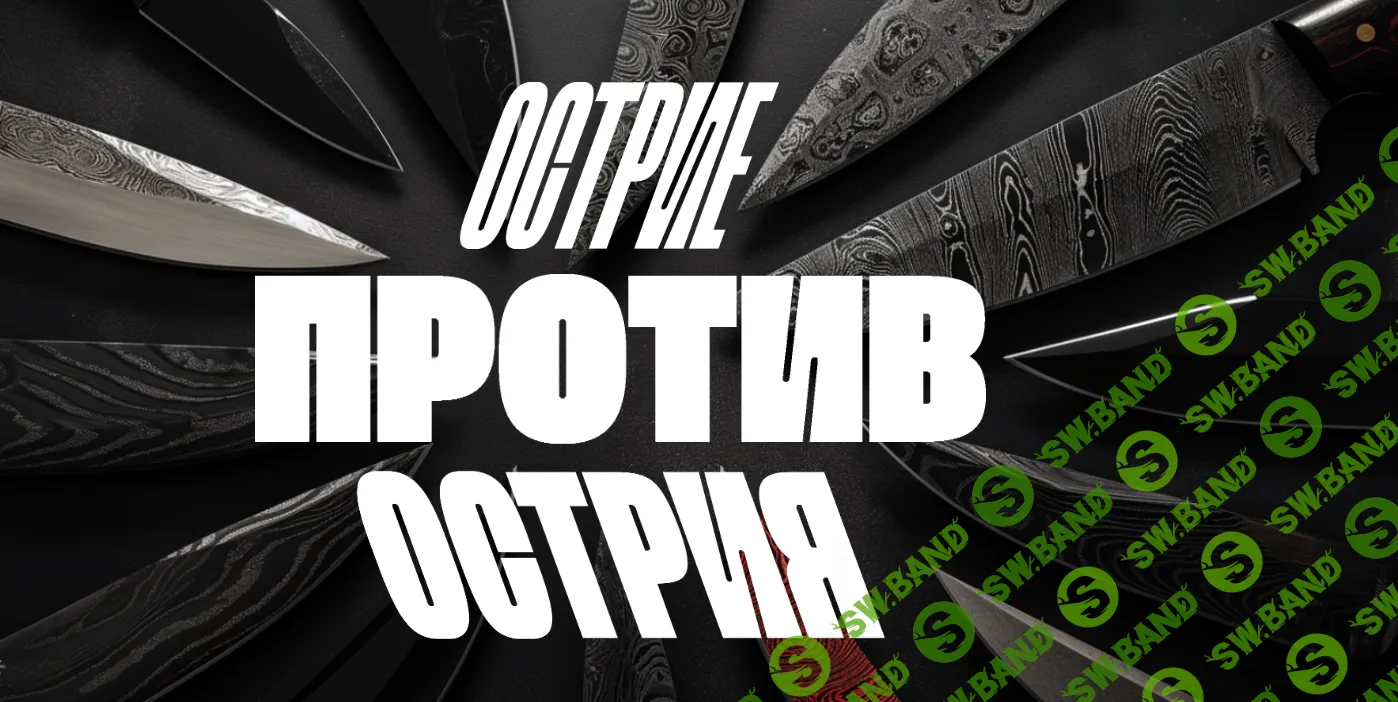 Скачать Курс «Острие против Острия» [Валерий Соловей]