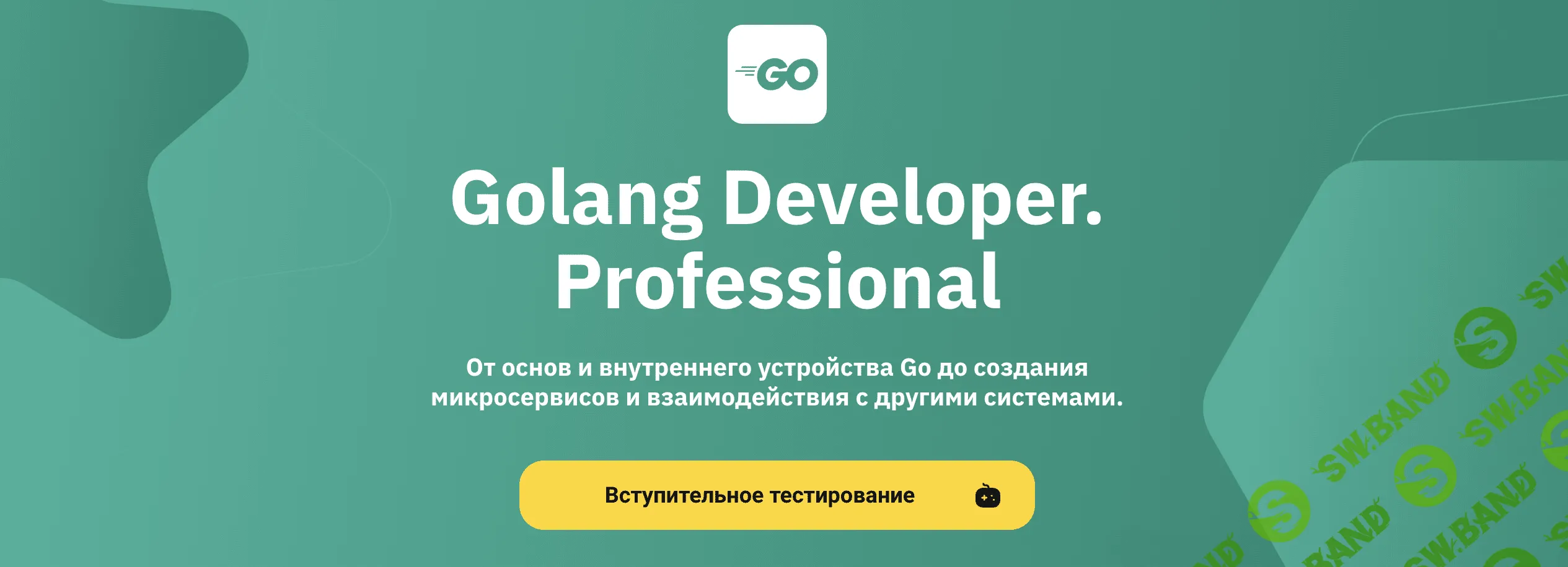 [OTUS] Golang Developer. Professional