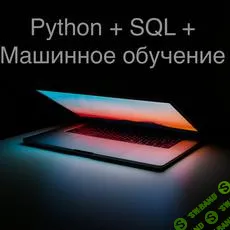 Пакет курсов "Data Scientist": Python + SQL + Машинное обучение [Stepik] [Влад Бурмистров]