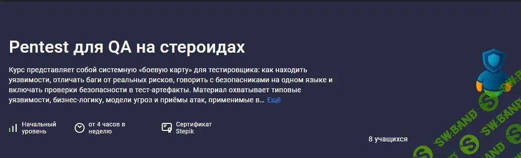 Pentest для QA на стероидах [Stepik] [Александр Six-Skills]