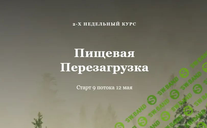 Пищевая перезагрузка [Алисья Янг]