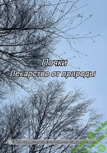 Почки. Лекарство от природы [Елена Матюнина]