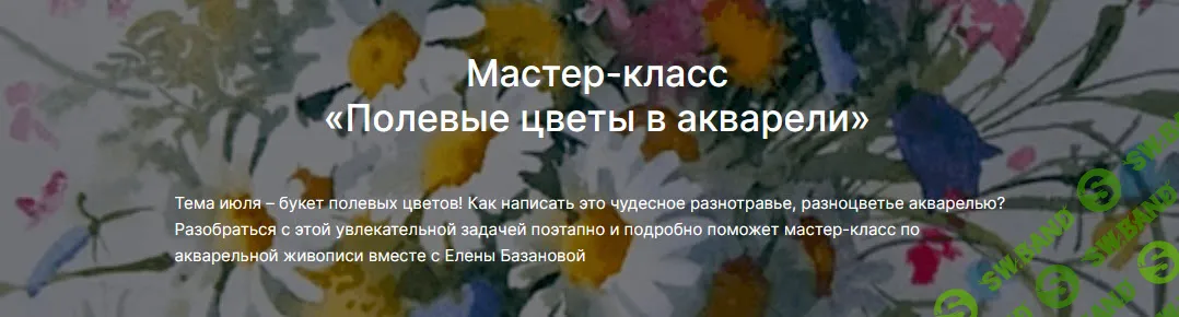 Полевые цветы в акварели [lectoroom] [Елена Базанова]