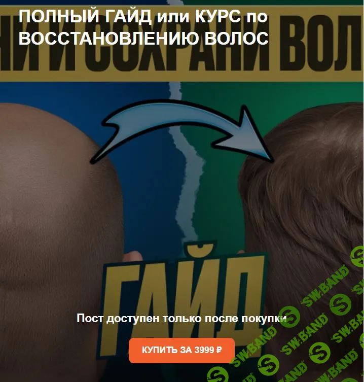 Полный гайд или КУРС по восстановлению волос [Саша верни волосы]