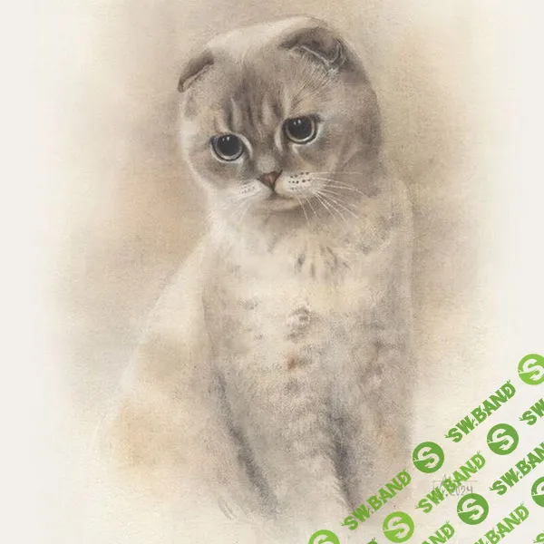 Портрет кошки [enterclass] [Анастасия Беседина]