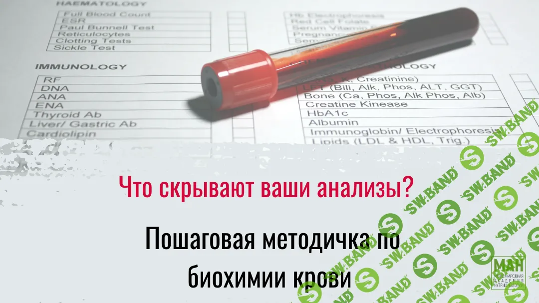 Пошаговая методичка по биохимии крови [МАН]