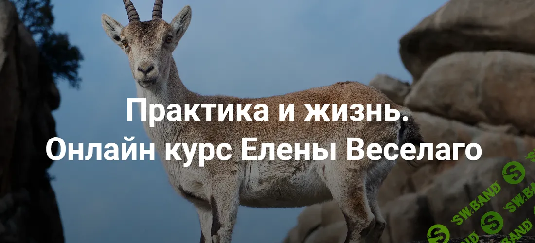 Практика и жизнь (2024) [1 ступень] [Институт Открытого Поля] [Елена Веселаго]