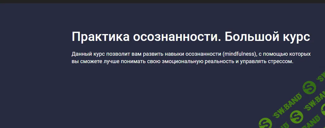 Практика осознанности. Большой курс [Stepik] [Мария Самсонова]