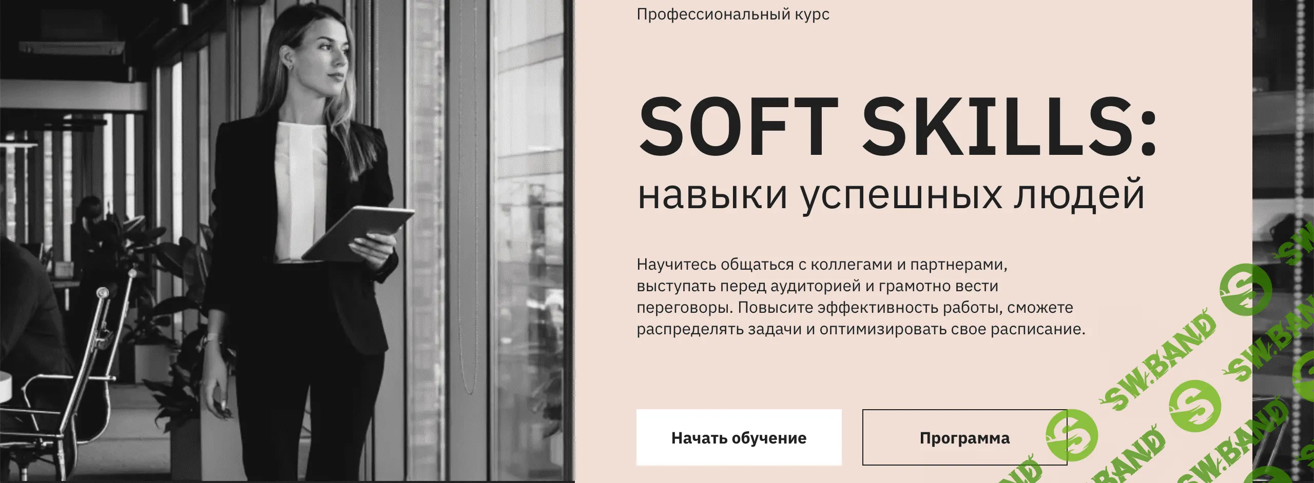 [Правое полушарие Интроверта] Soft skills: навыки успешных людей (2022)