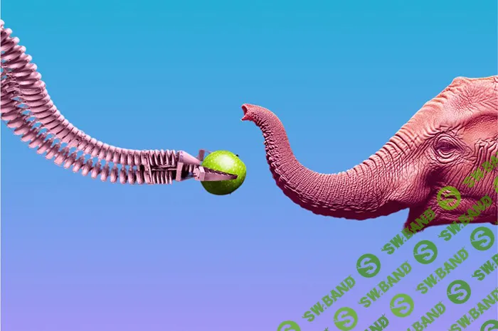 [Прямая речь] Удивительные изобретения природы. Интерактивная научная лекция для детей (7+) и их родителей (2024)