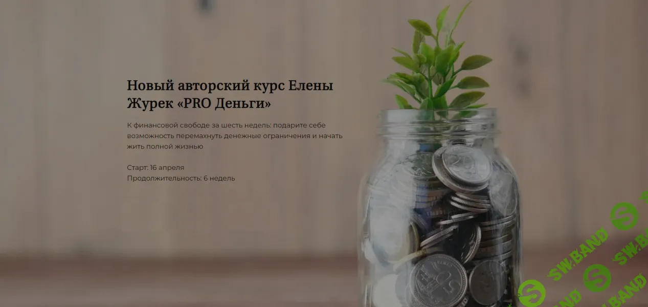 Pro Деньги [Тариф Самостоятельный] [Елена Журек]