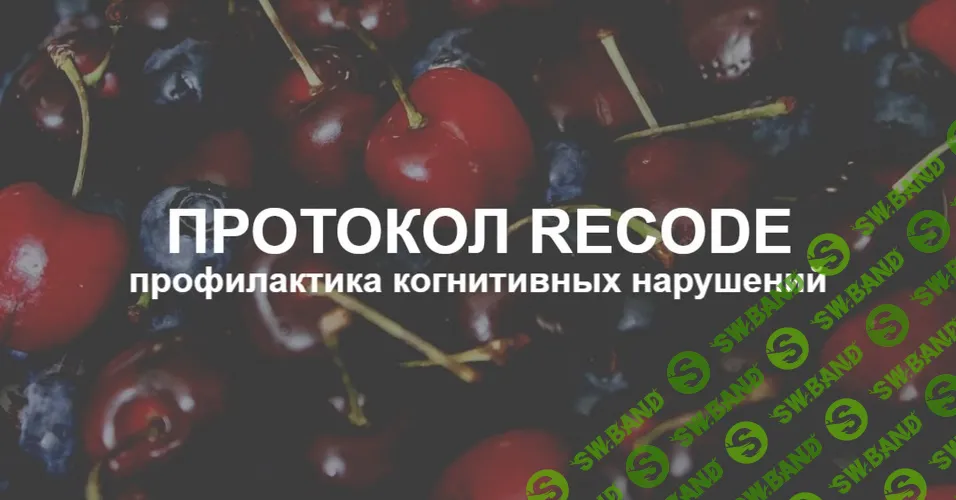 Протокол RECODE: профилактика когнитивных нарушений [Тариф Эконом] [Елена Суханова]