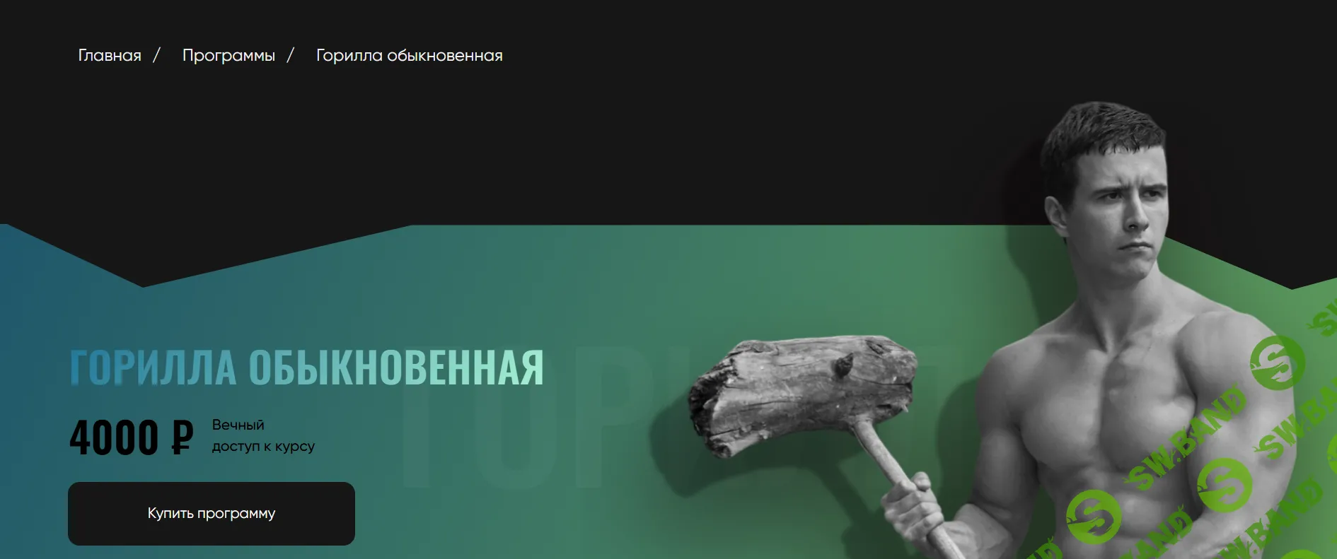 [proworkout] Горилла обыкновенная (2024)