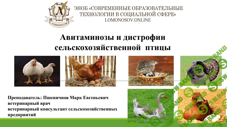 [Пшеничнов Марк Евгеньевич] — Авитаминозы и дистрофии сельскохозяйственной птицы (2023)