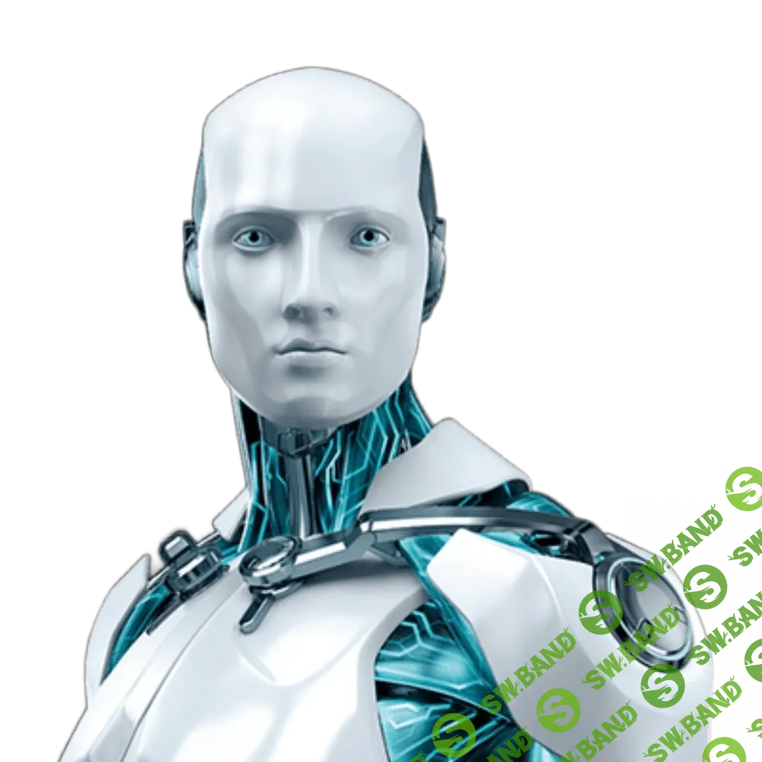 Разработка торговых роботов под криптобиржи на языке Python — 100% практики без воды [Сергей Осетров]