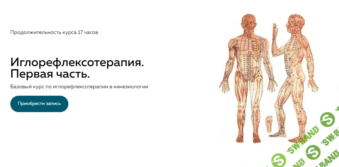 Рефлексотерапия. Часть l [Школа доктора Крутова] [Григорий Крутов]