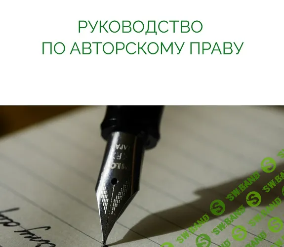 Руководство по авторскому праву (для дизайнеров) [Анастасия Васильева]