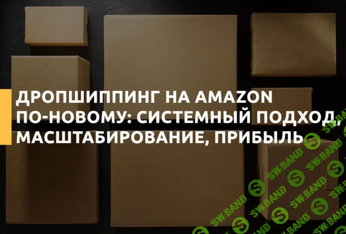 [SalesHub] Системный Дропшиппинг на Amazon (2018)