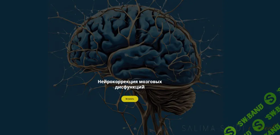 [Салима Саиди] Нейрокоррекция мозговых дисфункций (октябрь) (2024)